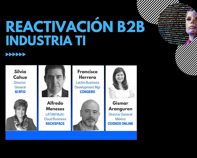 5. Industria TI_Panel_2020.webp