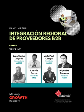 IntegracioÌn_Regional_Proveedores_B2B_C