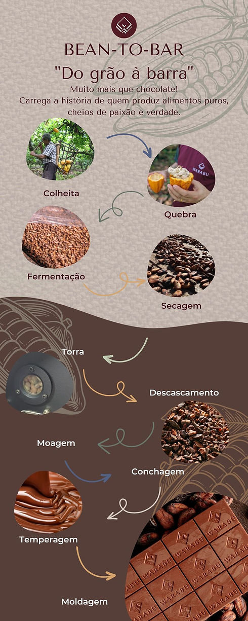 BEAN-TO-BAR Do grão à barra.jpg