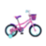 Athena Girls Kids Bicycle 12-Inch and 16 Inch D.Pink