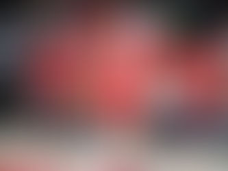 All Things Sports Two-Week Newsletter Recap