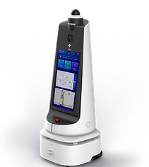 Inspection robot