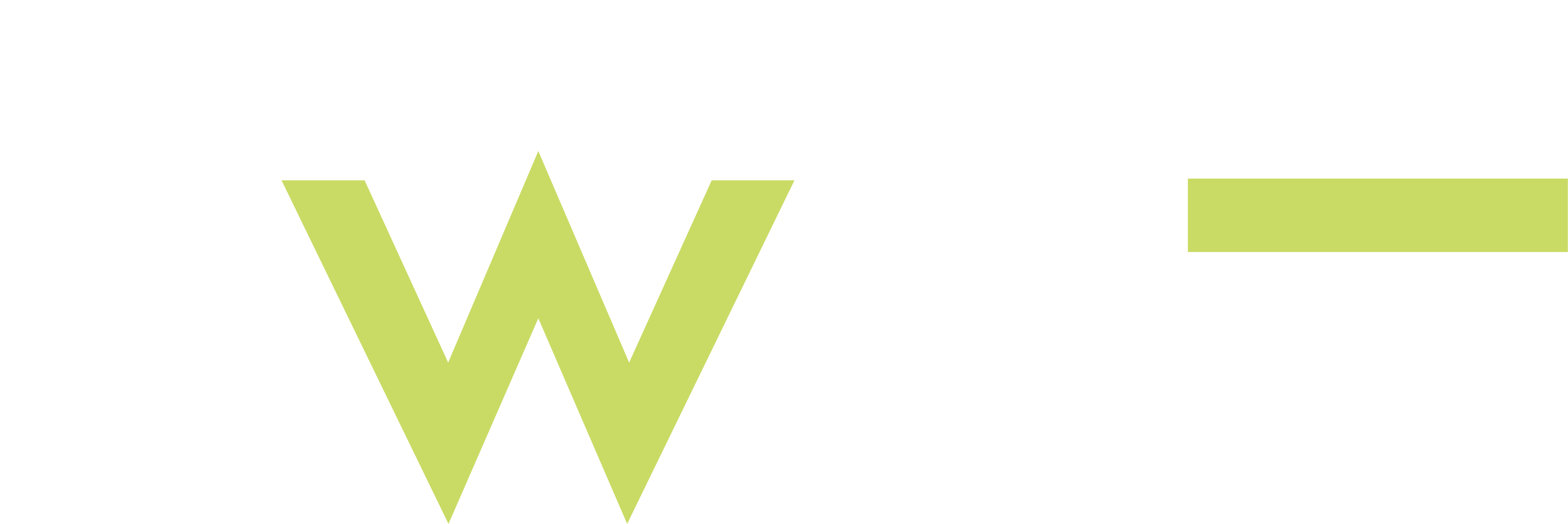web_i-watt blanc & vert.png