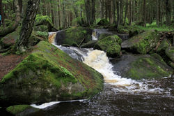 шумава юг чехии