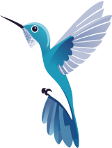 colibri