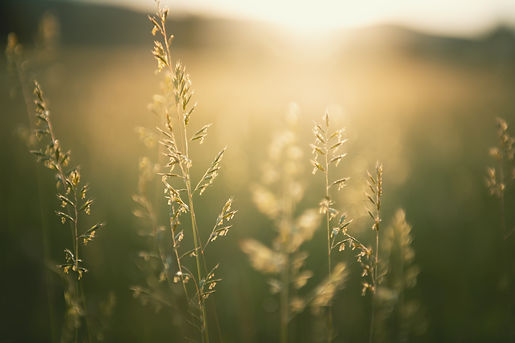 AdobeStock_456423522.jpeg