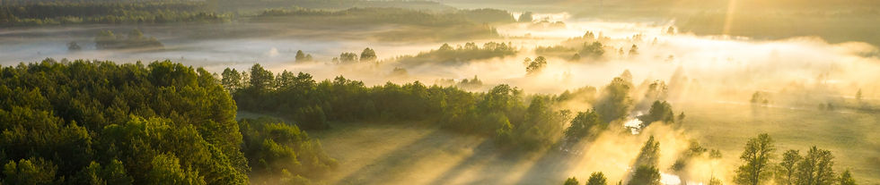 AdobeStock_271373414_edited.jpg