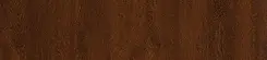 ap27-nussbaum.webp