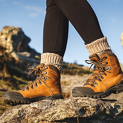 Untitled design (61).png