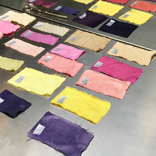 Cours "Couleur sauvage"