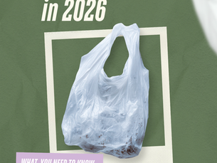 A plastic bag display on the polaroid white frame with green background