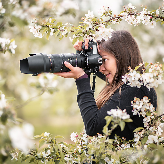 photographe sur le terrain fleurs arbres