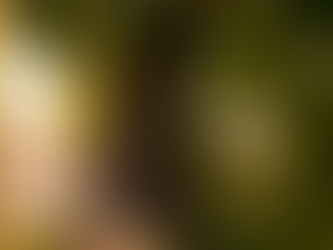 Parable Book 1: Ravid