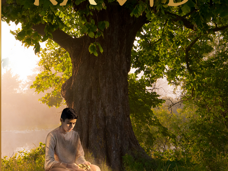 Parable Book 1: Ravid