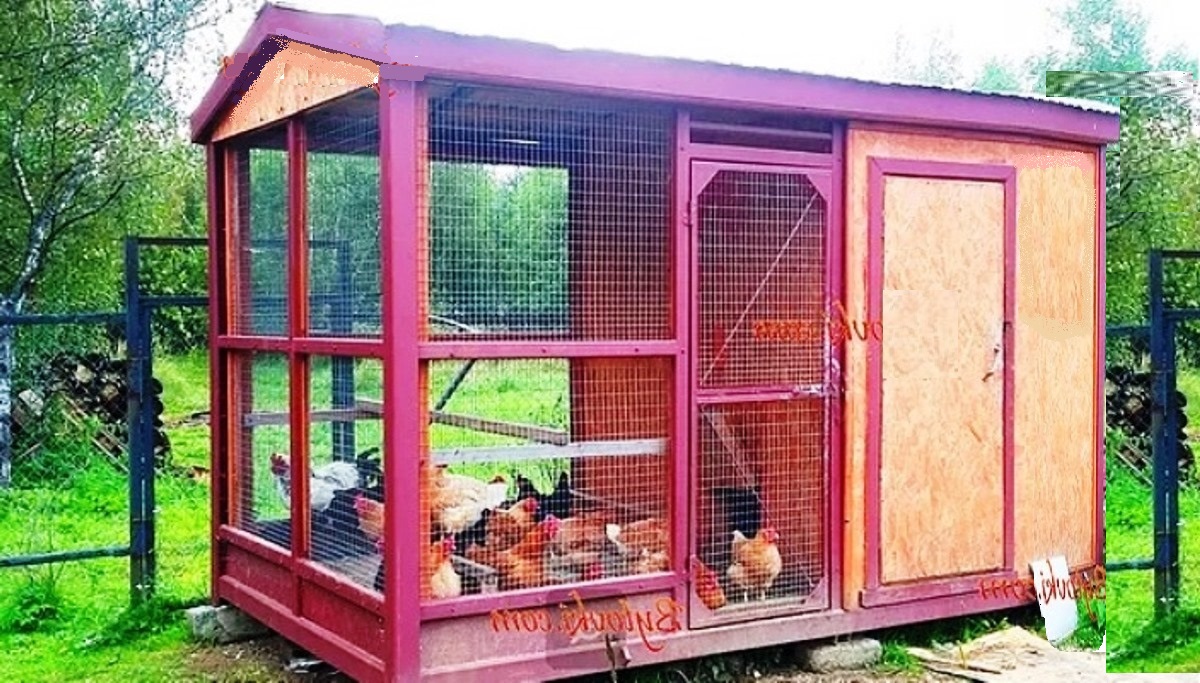 Курятник Бытовка Зимний Купить