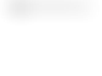 Literature Review