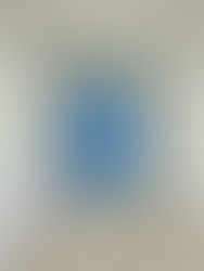 Install and Artist Statement