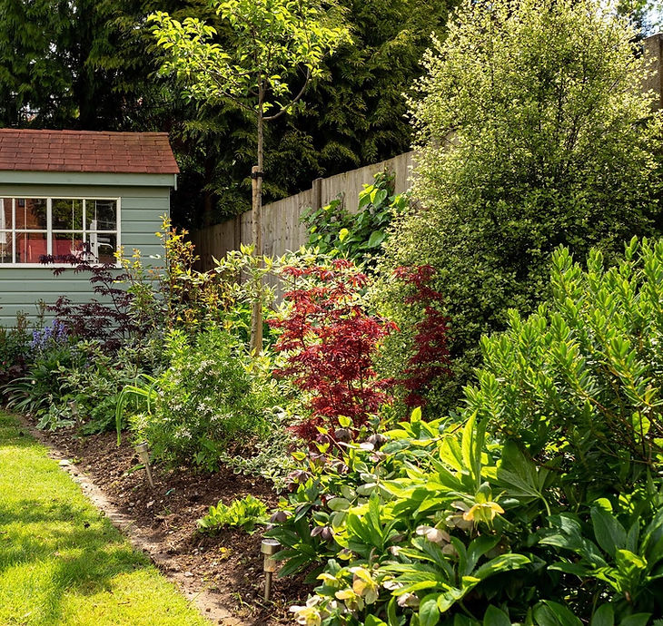 garden-design-winchester.jpg