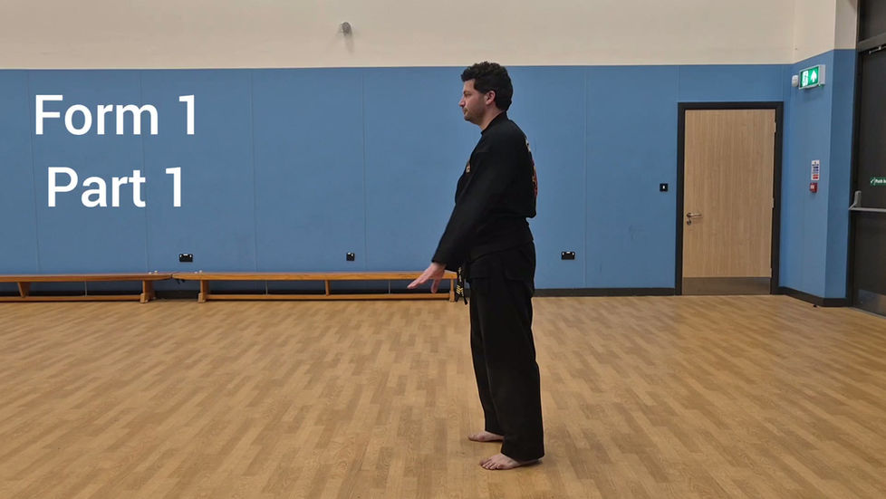 Low Impact Movements Form 1 Parts 1 and 2