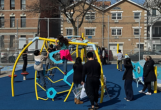 Students on a jungle gym
