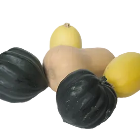 squash.webp