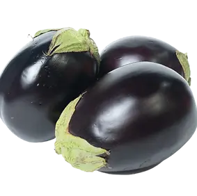 eggplant.webp