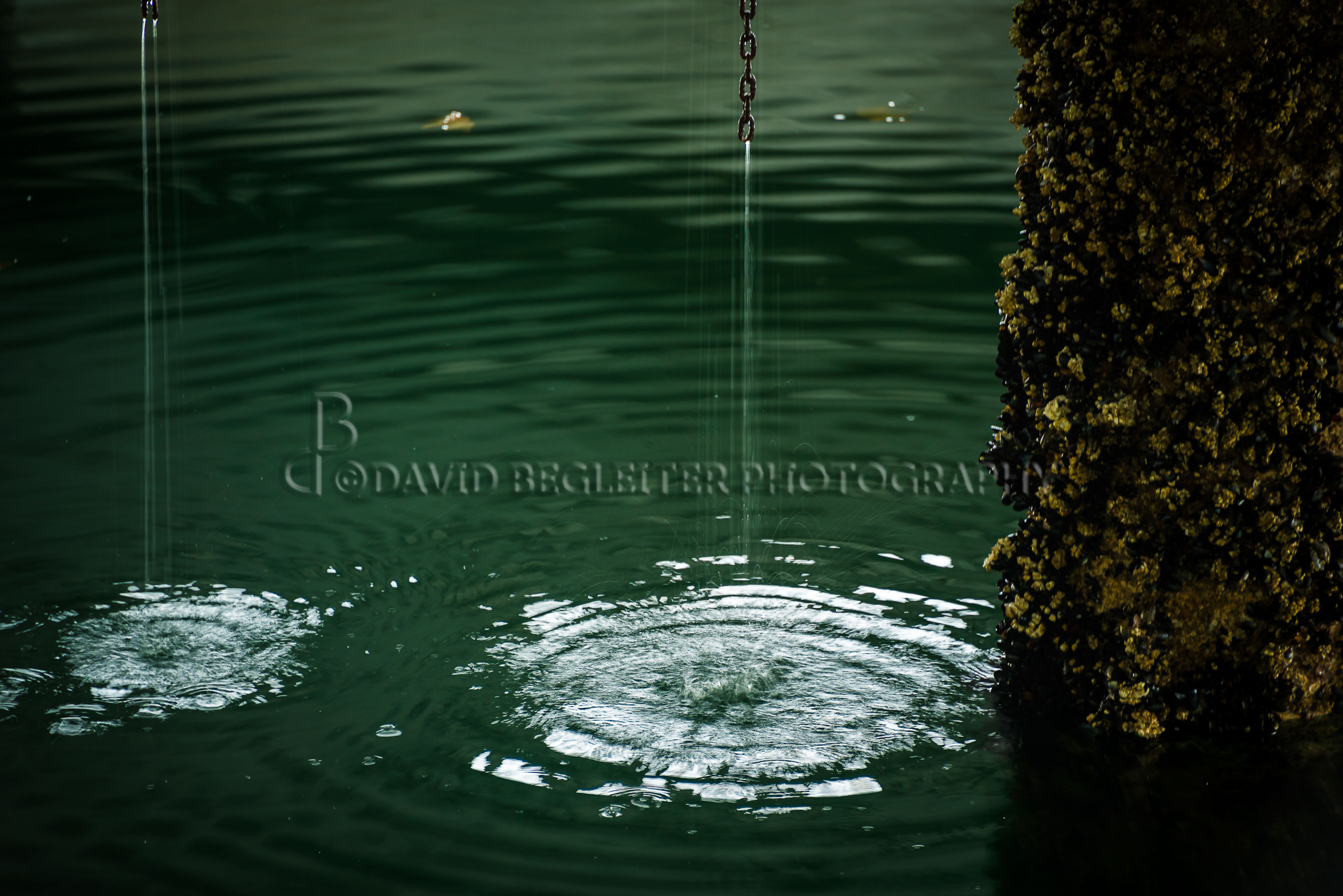 Sea Wall Ripple