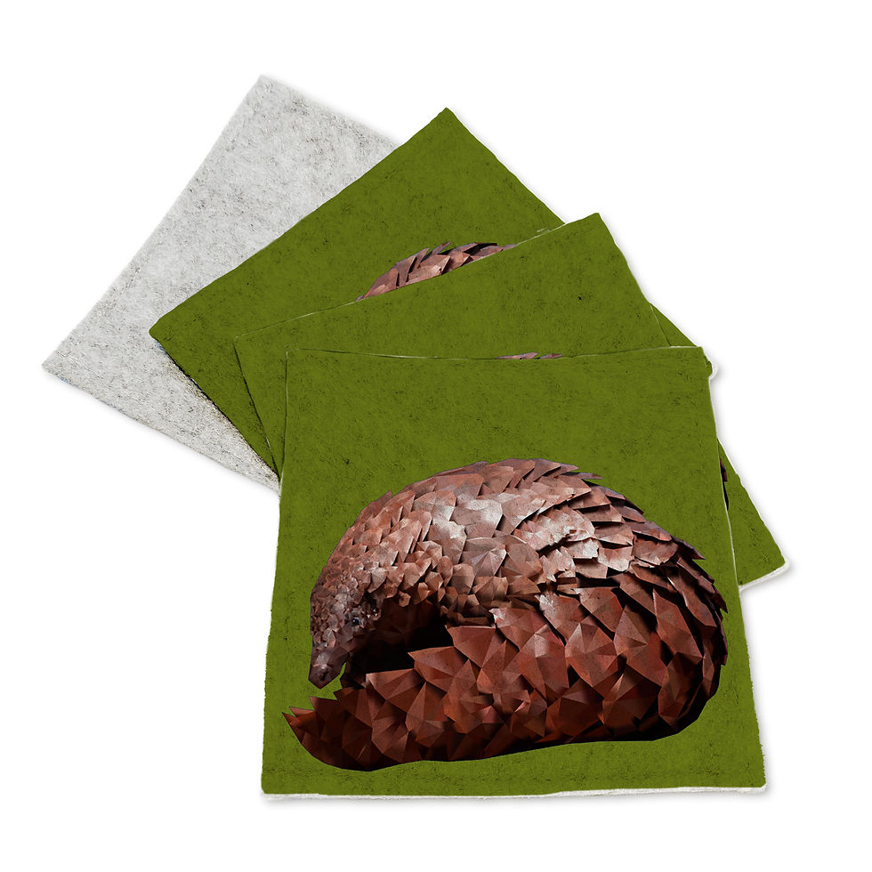 Thumbnail: FELT Coasters – Pangolin -Set of x12