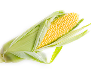GMO's: Are We the Next Science Experiment?