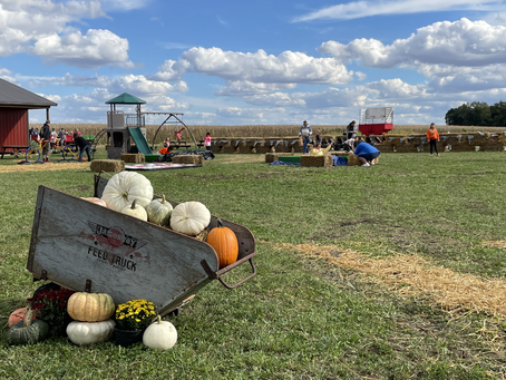 Our First Weekend of 2021 at the Pumpkin Patch 