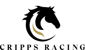 CR2020_Logo_Primary_final (1) copy.png