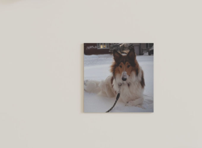 Thumbnail: Custom Pet Magnets -Square