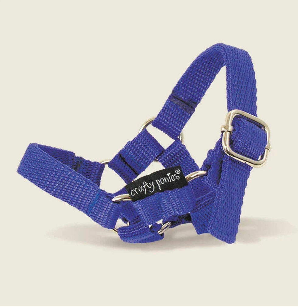 Thumbnail: Crafty Pony Headcollar