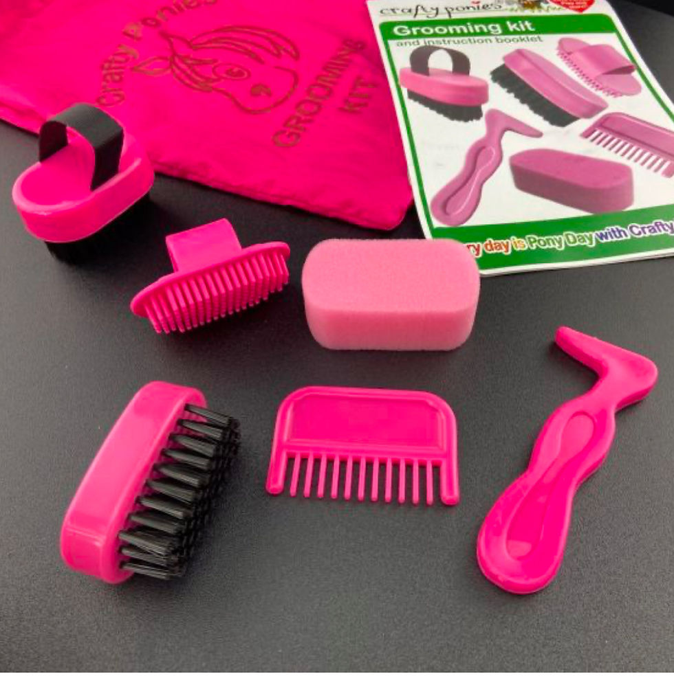 Thumbnail: Crafty Pony Grooming Kit
