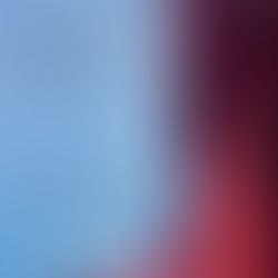 Никога съвършено / Nooit Volmaakt / Гергана Николова