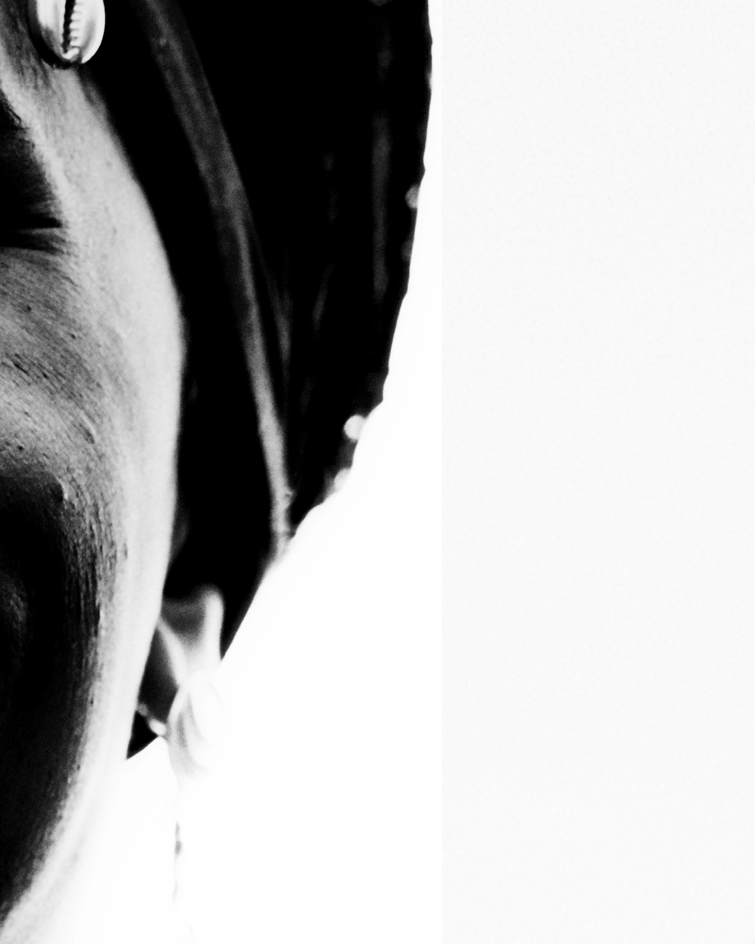NOVO_02.gif