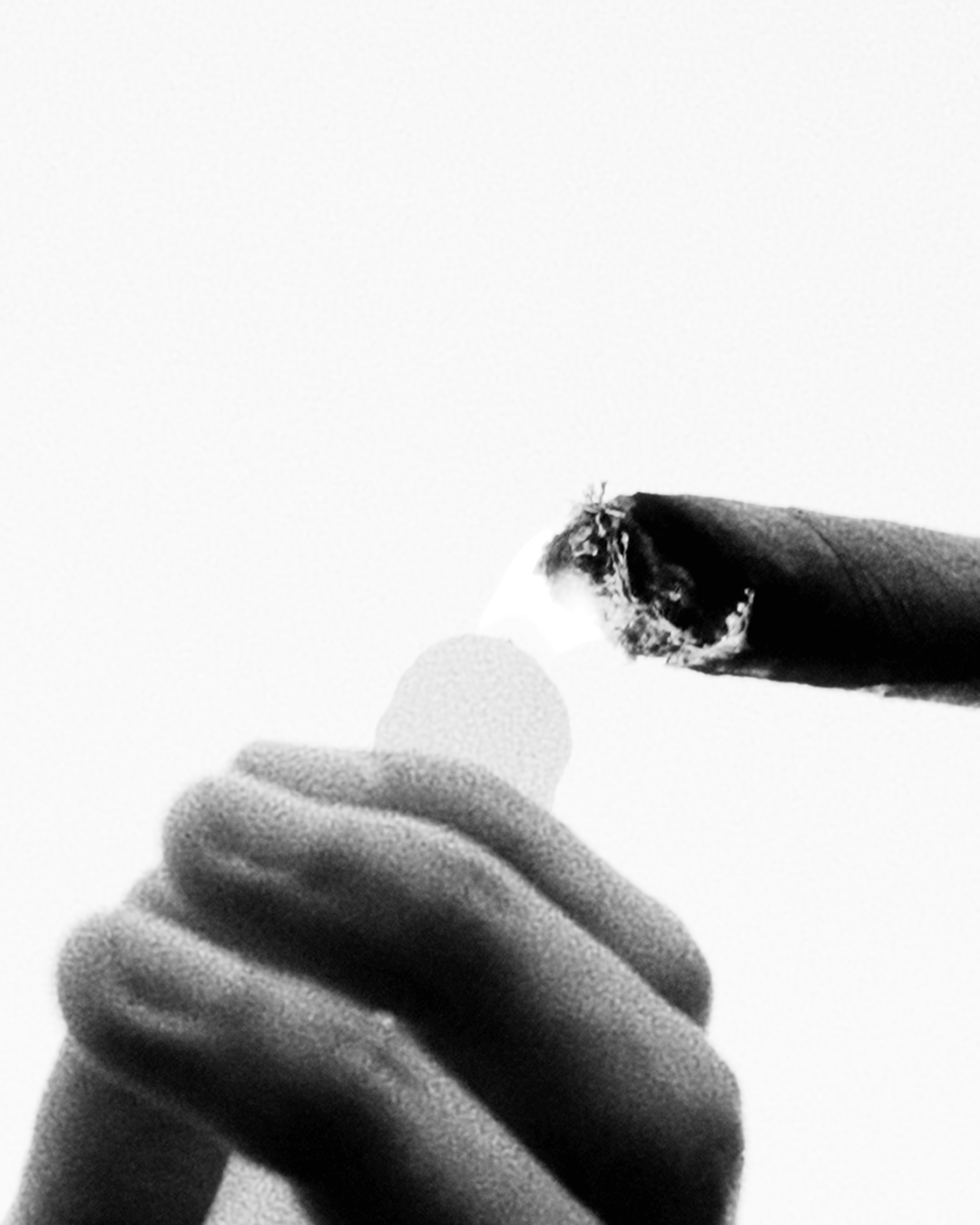 NOVO_03.gif