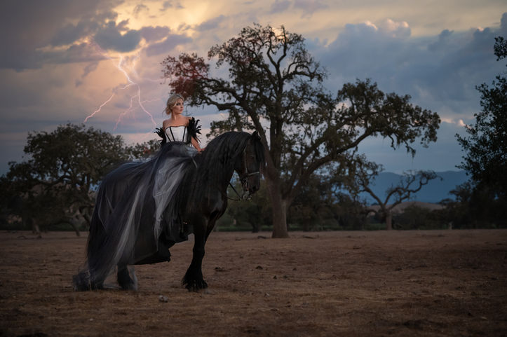 Equestrian photography-erica richards photography