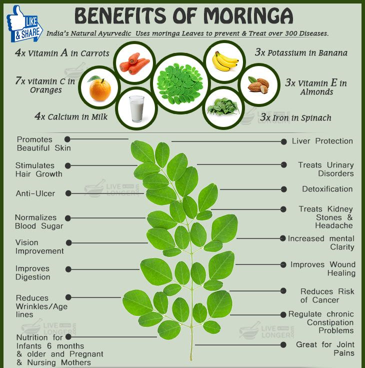 Thumbnail: Moringa Oleifera Refined Powder