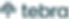 tebra logo