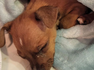 March 2026 "My Moon" by Leslie Rivera