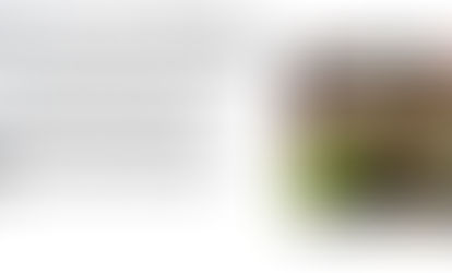 September 2025 "Photographs" by Andrea Martinez