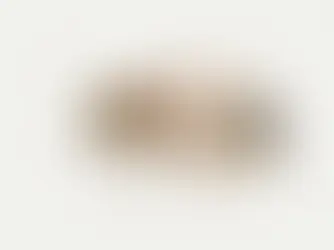 The ‘Killer Bee’ Hysteria