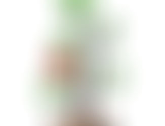 December 2024 A Charlie Brown Christmas By Jannette Rodriguez