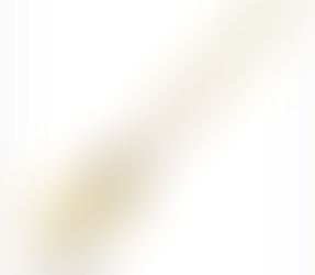 February 2025 “THE GOLDEN SPATULA” a story by Paula Rawlings