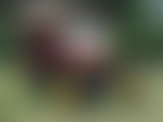 November 2025 "Henry Ford Ruined Your Life" by Will Williams