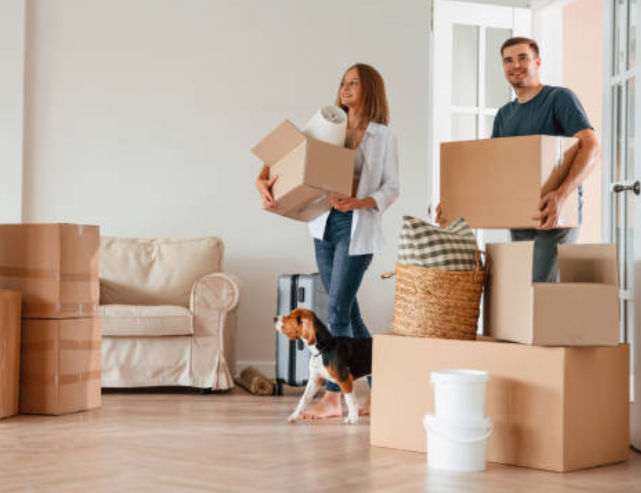 adjustment disorder.png