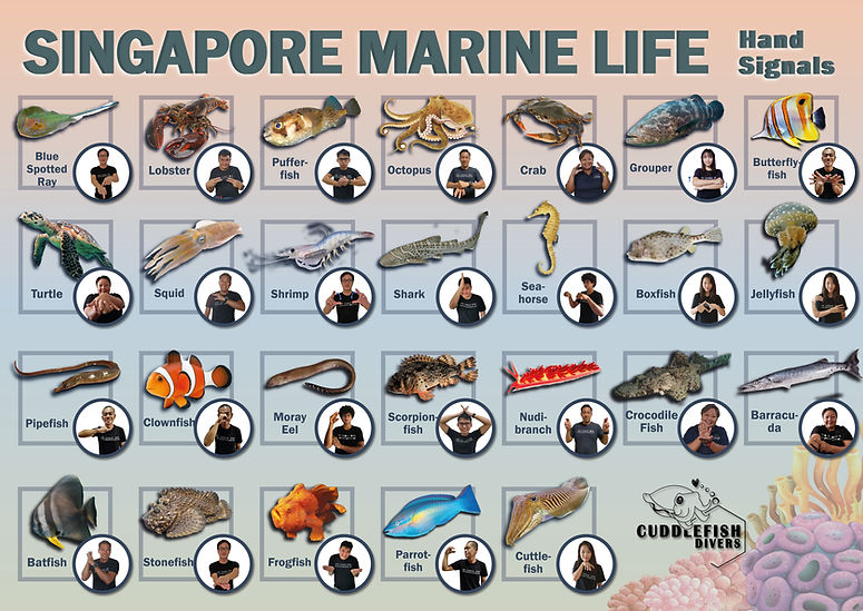 Singapore marine handsigns.jpg
