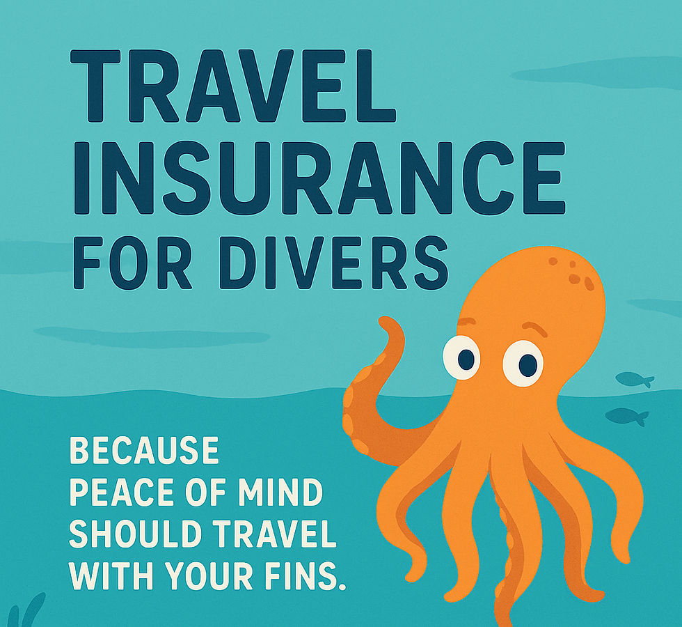 Not all travel insurance covers diving. Check the fine prints!