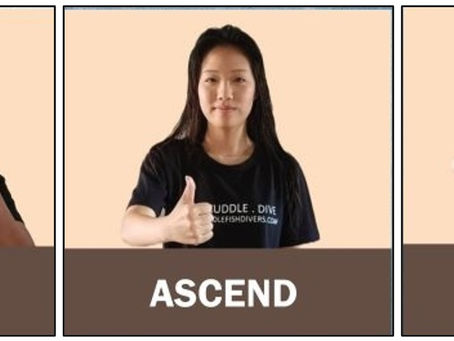 Importance of Scuba Diving Hand Signals